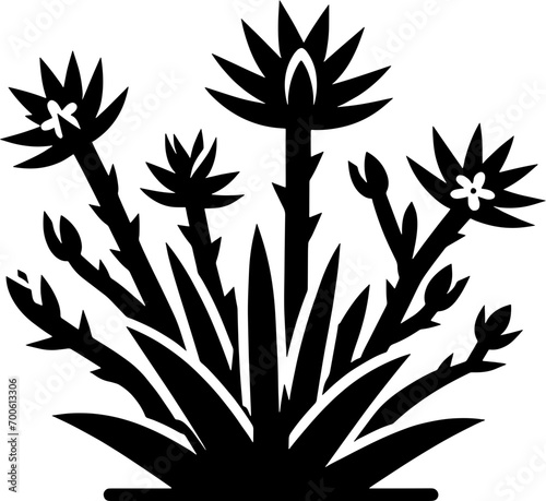 Fouquieriaceae plant icon 1