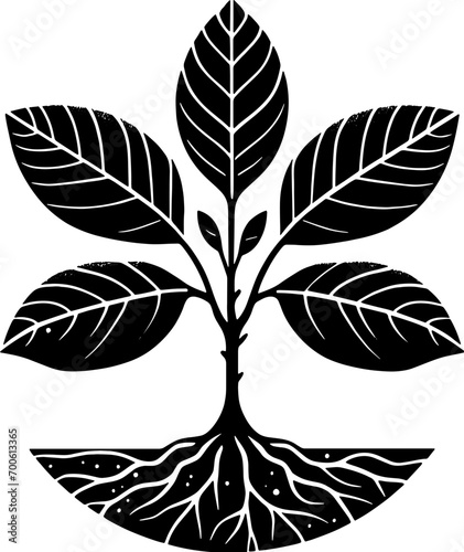 Flacourtiaceae plant icon 10