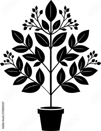 Eupteleaceae plant icon 5 photo