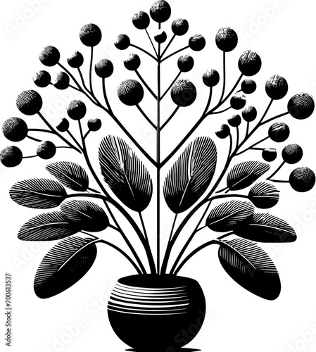 Eupteleaceae plant icon 9 photo