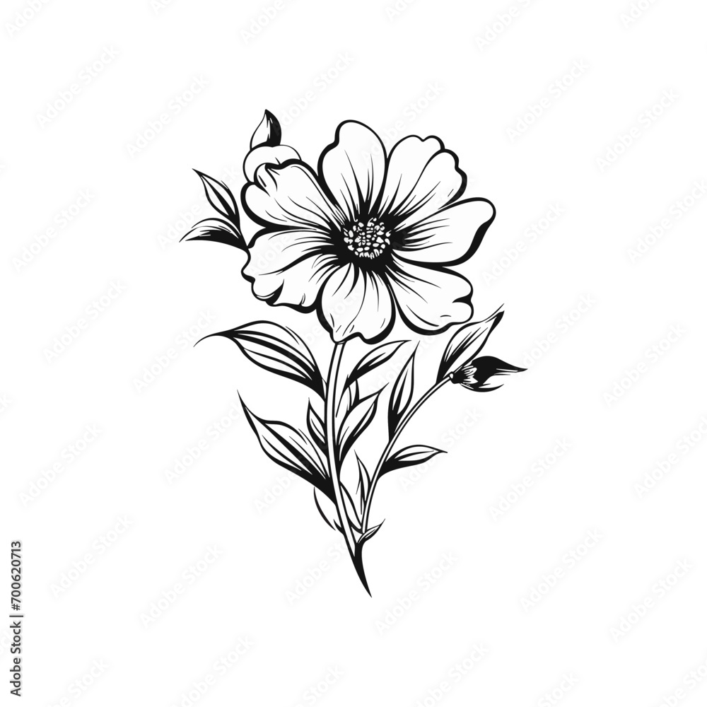 Beautiful minimalist flower illustration art.