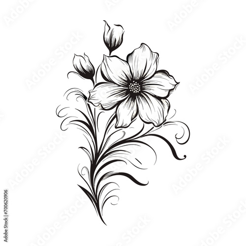 Beautiful minimalist flower illustration art.
