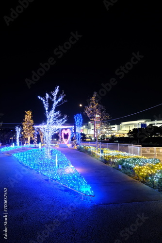 christmas tree at night