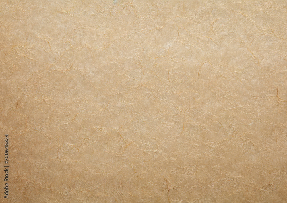 Obraz premium 古い和紙の背景テクスチャー