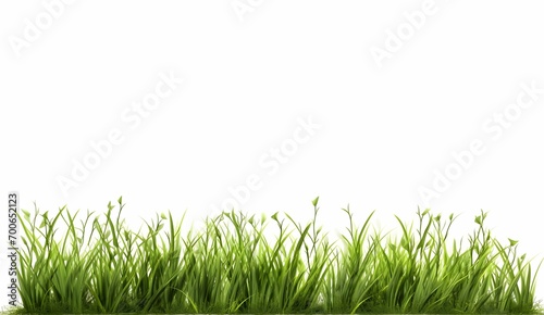 Green grass with white background