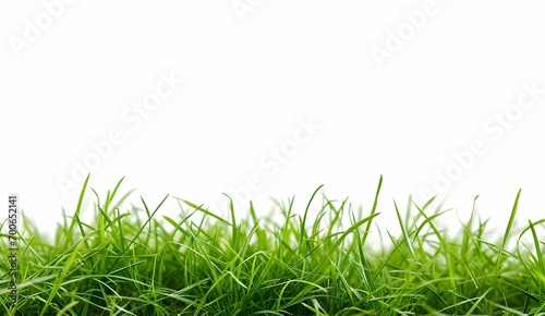Green grass with white background