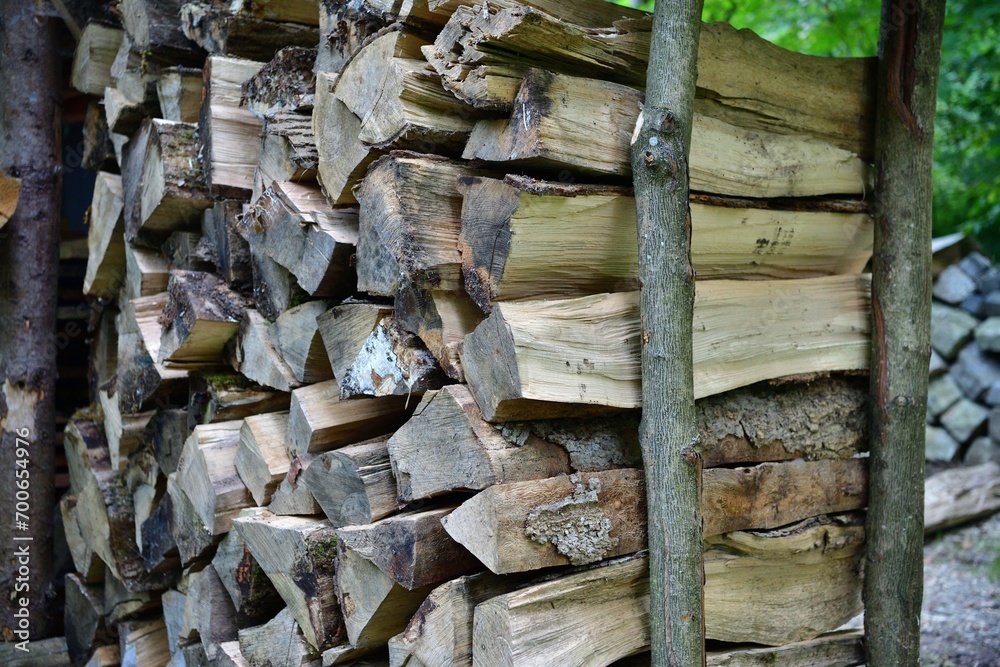 Chopping wood in the garden in the village in autumn