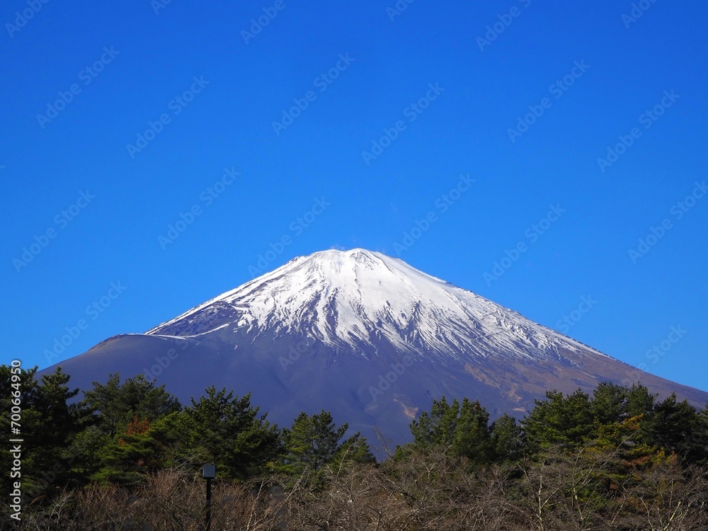 富士山のアップ