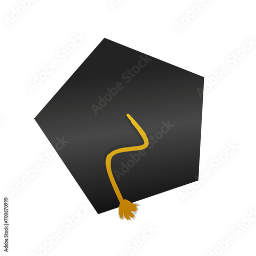 Eduacation Graduation Hat