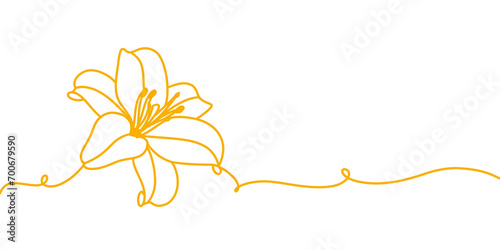 Lily flower line art and illustration photo