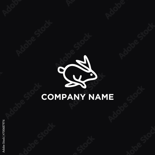 frog on a black background