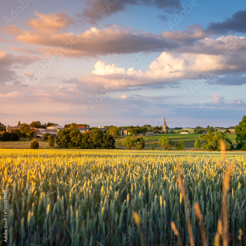Village français et son clocher à la campagne au milieu des champs de blé. photo