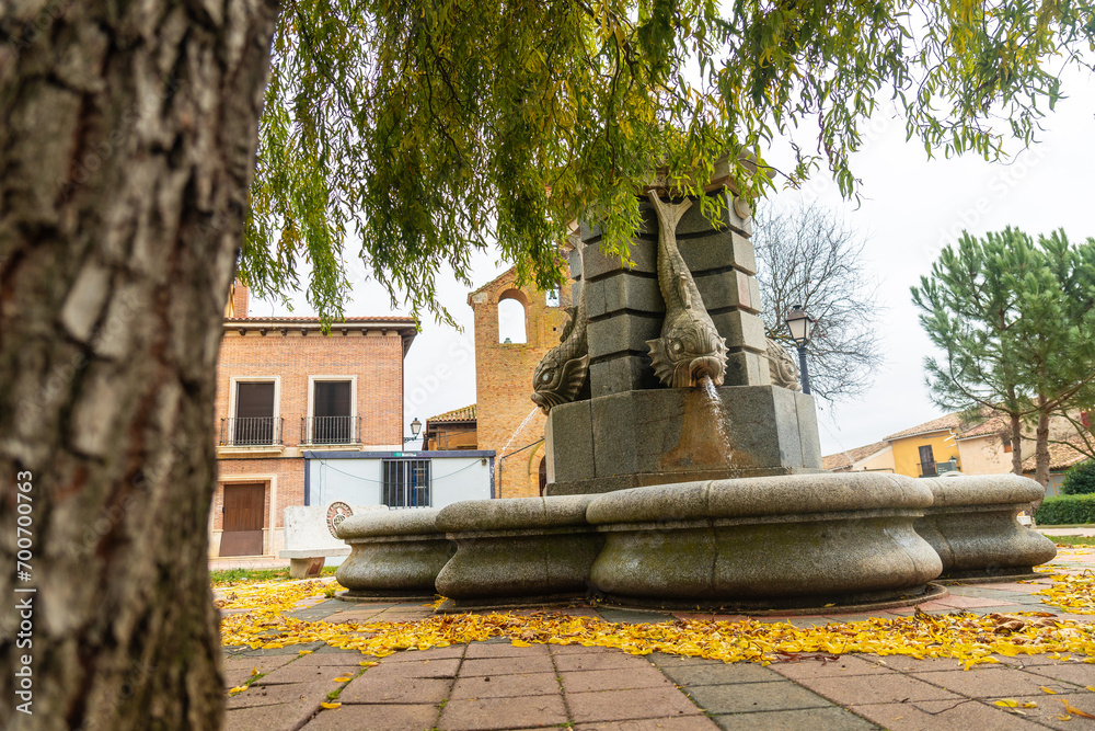 Water fountain in the town of Villalon de Campos, Valladolid. Spain Water fountain in the town of Villalon de Campos, Valladolid. Spain