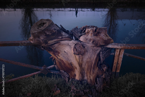 Un ceppo d'albero possiede una forza immensa, che ha inghiottito la ringhiera di ferro lungo il fiume. photo