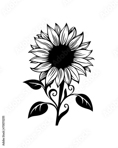 Sunflower Illustration