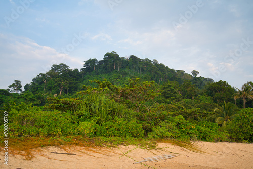 green tropical hill at the beach