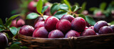 Elegant arrangement of plums in a rustic wooden bowl on a wooden table.