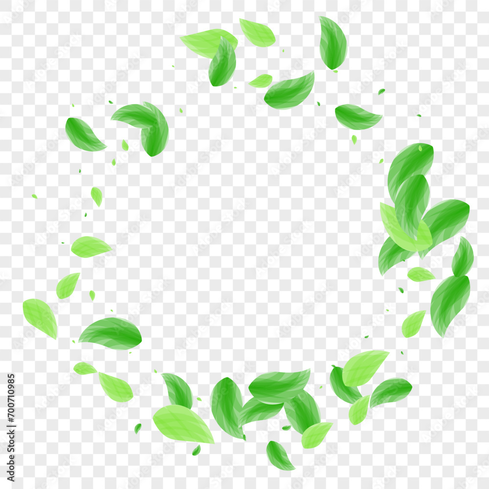 Green Leaf Background Transparent Vector. Plant Concept Design. Watercolor Texture. Light Green Twig Illustration. Greenery Banner.
