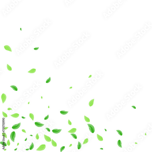 Greenish Sheet Background White Vector. Plant Creative Card. Structure Texture. Green Vitality Illustration. Leaves Vivid.