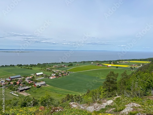 landscape with river
