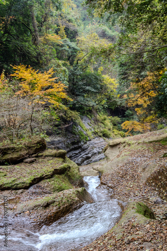 Usa Waterfall in Japan