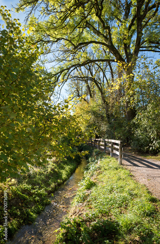 walkway beside Hachinger Bach, landscape Oberhaching, bavaria photo