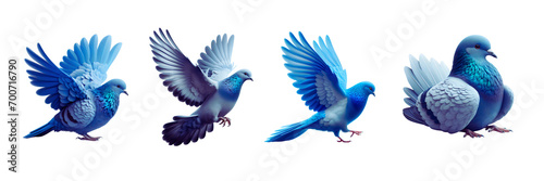 Set of Blue dove or pigeon, isolated over on transparent white background. © Mithun