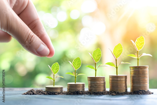 hand is pointing and growing plant on stacks of coins