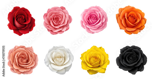 Set of various beautiful blooming roses isolated on transparent background. Generative AI © Nabarun