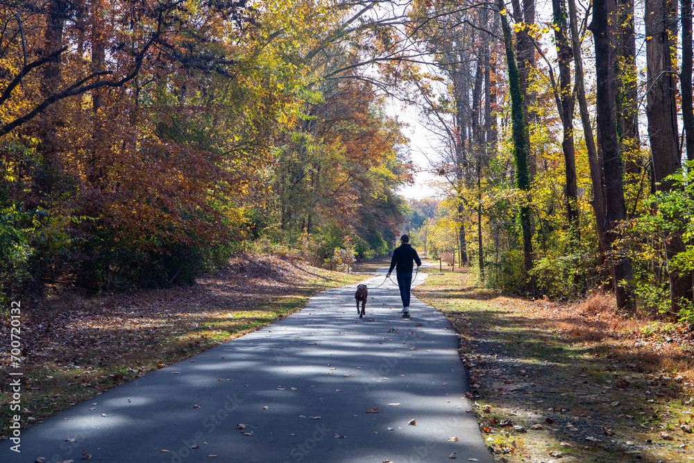 Fototapeta premium A dog walker on a paved hiking trail in autumn