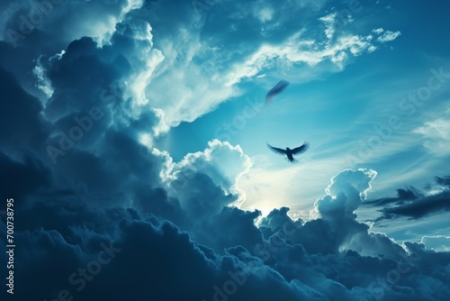 Amidst the cloudy sky, a graceful bird soars with its majestic wings, a symbol of freedom and natural beauty