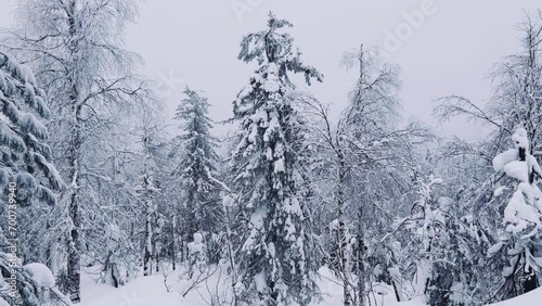 Wallpaper Mural Stone Town in winter in the Perm region. Frozen snow-covered winter forest, deeply covered with snow in sunlight. Forest in the snow. Snowy winter. Trees in the snow in the Stone City. Russia. 4К Torontodigital.ca