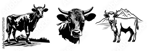 Silhouette of a cow set, vector illustration.