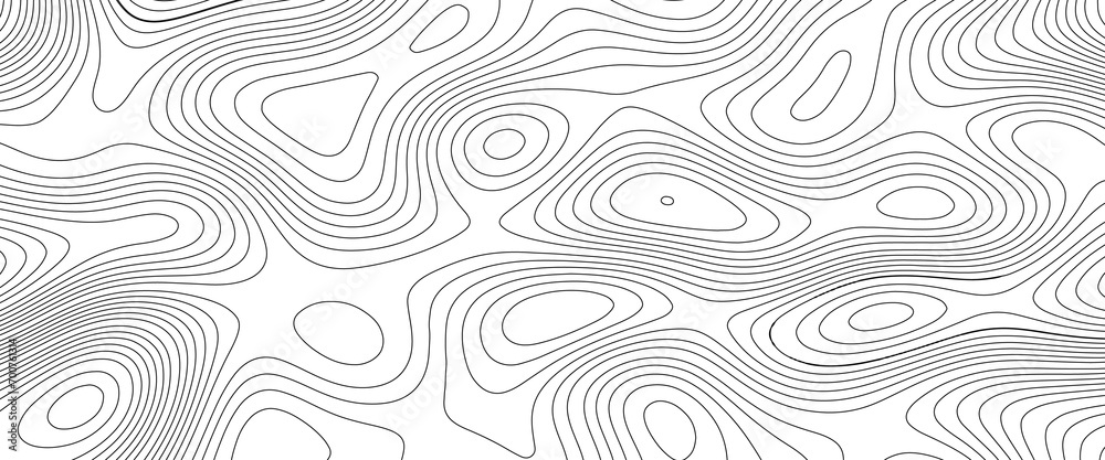 Fototapeta premium Topographic map background. Panorama view gradient multicolor wave curve lines banner background design. Line topography map design.