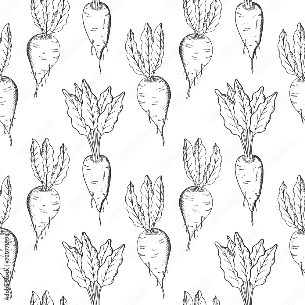 Sugar beet seamless pattern hand drawn sketch vector illustration. Repeating background with sweet root plants, Engraved vegetables backdrop . Agriculture, healthy food, beetroot harvesting