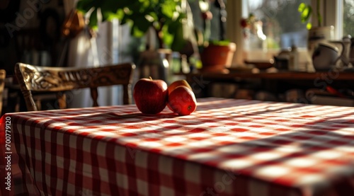 red and white gingham table cover on the table in spring