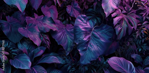purple and violet jungle leaves in the night time