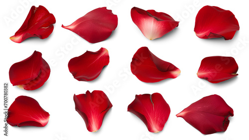 Set of red rose flowers petals isolated on transparent background.