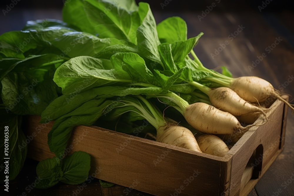 A rustic display of newly harvested Yautia (taro root), placed in an old-fashioned wooden container, complimented by the vibrant greenery around - obrazy, fototapety, plakaty 