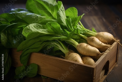A rustic display of newly harvested Yautia (taro root), placed in an old-fashioned wooden container, complimented by the vibrant greenery around