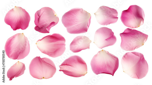 Set of pink rose flowers petals isolated on transparent background. #700780540