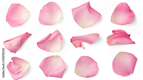 Set of pink rose flowers petals isolated on transparent background. #700785312