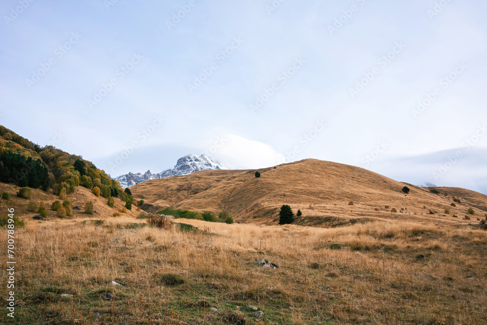 Sweeping Golden Hills Leading to the Majestic Snow-Covered Peaks Beyond