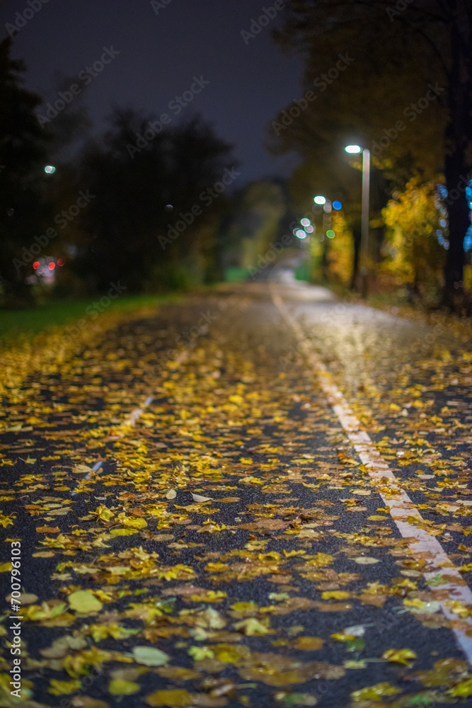 Two lane bike path almost covered in leaves at night. Two lane bike path almost covered in leaves at night.