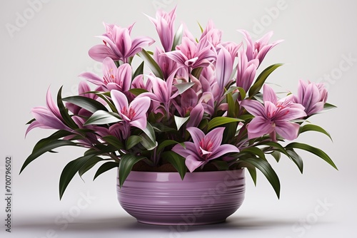 Wallpaper Mural Beautiful lilies flowers in a pot on a white background Torontodigital.ca