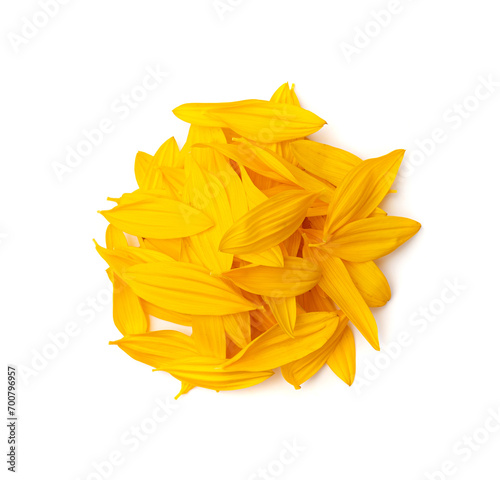 Yellow Petals Isolated, Sunflower Petal Pile, Orange Blossom Design