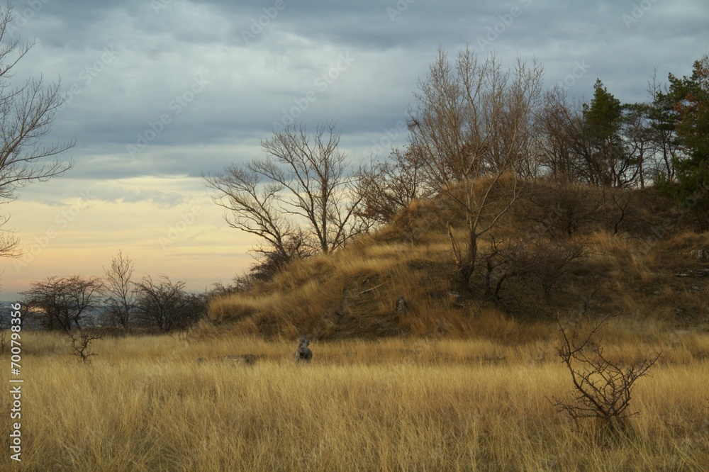 Landscape - flat meadow with dry grass and a hill in late autumn Landscape - flat meadow with dry grass and a hill in late autumn