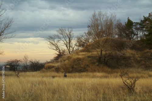 Landscape - flat meadow with dry grass and a hill in late autumn