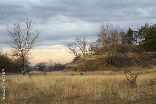 Landscape - flat meadow with dry grass and a hill in late autumn