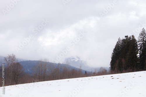 View on a mountain landscape in winter with snow and a forest Common Spruce (Picea abies) photo